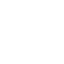 Chinese Cultural / Language Courses
